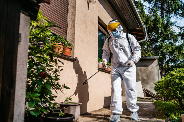 Best Ant Control Services  in Carol Stream, IL
