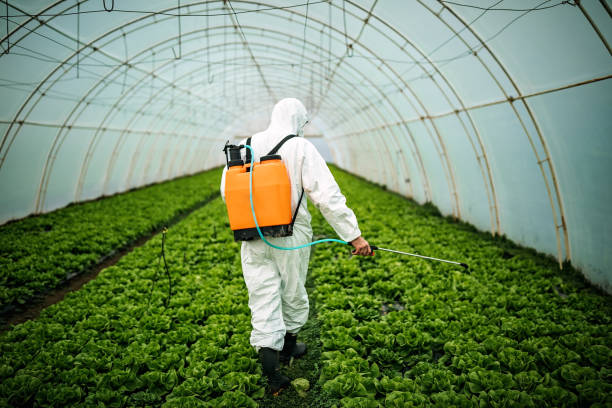 Pest Control for Restaurants in Carol Stream, IL