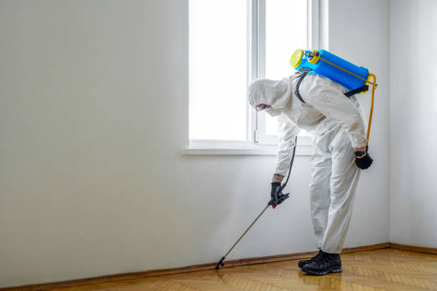 Best Affordable Pest Control Services  in Carol Stream, IL