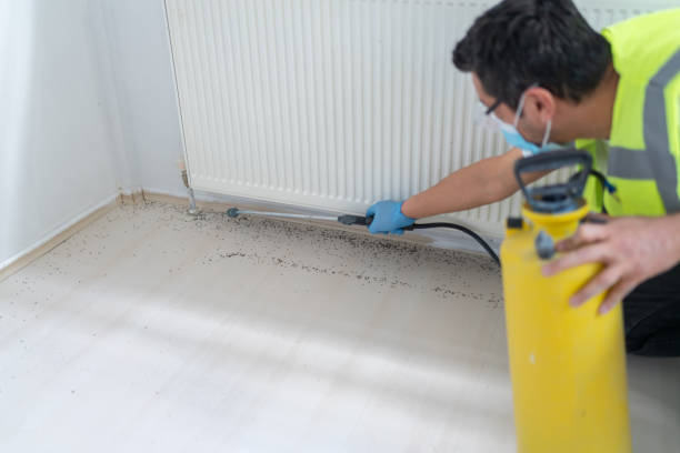 Best Affordable Pest Control Services  in Carol Stream, IL